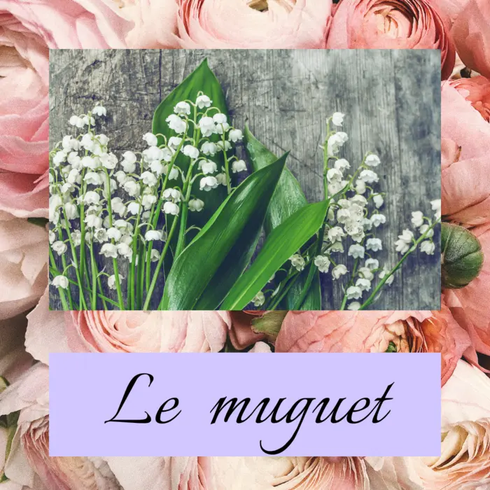 Commande et livraison du muguet du premier mai