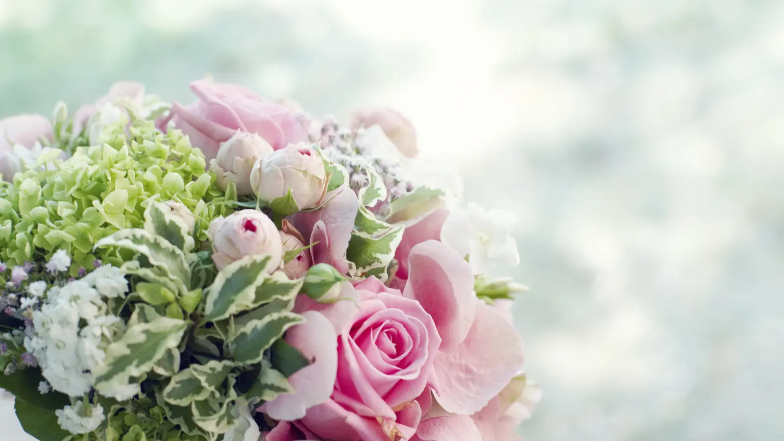 Livraison de bouquets en ligne. Livraison autour de Liège et Verviers. Livraison gratuite à partir de 75 €.