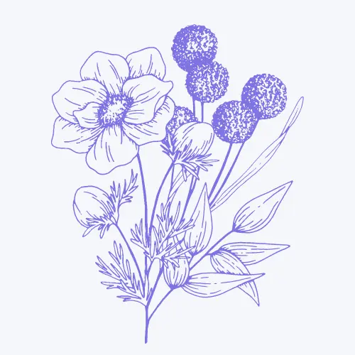 Icone de bouquet de fleurs de Sydney